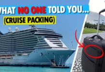 What You’ll Wish You Knew Before Packing for a Cruise Cruise ship next to a suitcase