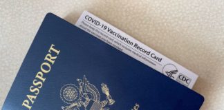 Still Seeing Cases: The Latest to Know About Cruises & Covid