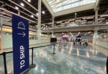 Easy Ways to Get to Port Everglades in Fort Lauderdale for a Cruise (Port Transportation)