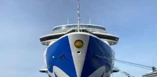 Nearly 100 Passengers Fall Ill With Stomach Virus on Princess Cruise