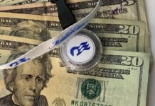 Princess Cruise Gratuity (Tips) Full Guide: How Much, How They Work, and More