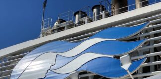 More Than 100 People Hit With Norovirus Outbreak on Princess Cruise Ship