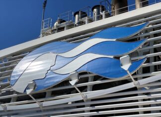 More Than 100 People Hit With Norovirus Outbreak on Princess Cruise Ship