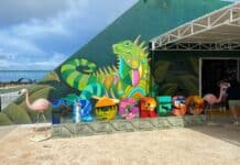 Free or Cheap Things to Do in Progreso, Mexico on a Cruise