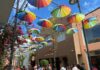 Shore Excursion Tips You Want to Know Before You Cruise (Booking, Tipping, & More) Shore excursion in Puerto Plata