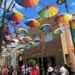 Shore Excursion Tips You Want to Know Before You Cruise (Booking, Tipping, & More) Shore excursion in Puerto Plata