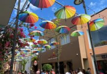 Shore Excursion Tips You Want to Know Before You Cruise (Booking, Tipping, & More) Shore excursion in Puerto Plata
