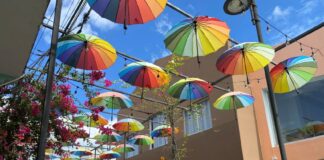 Shore Excursion Tips You Want to Know Before You Cruise (Booking, Tipping, & More) Shore excursion in Puerto Plata