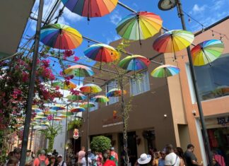 Shore Excursion Tips You Want to Know Before You Cruise (Booking, Tipping, & More) Shore excursion in Puerto Plata