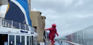 Alaska Cruise Live Blog (Day 2): Wet Weather Doesn’t Spoil the Fun Bear on Quantum of the Seas