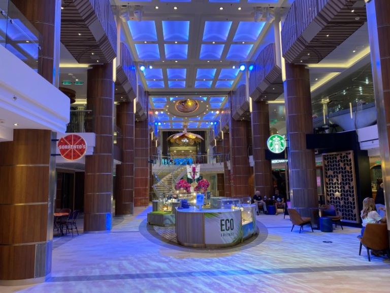 Odyssey of the Seas Super Guide: Photo Tour, Review, Tips, and Things ...