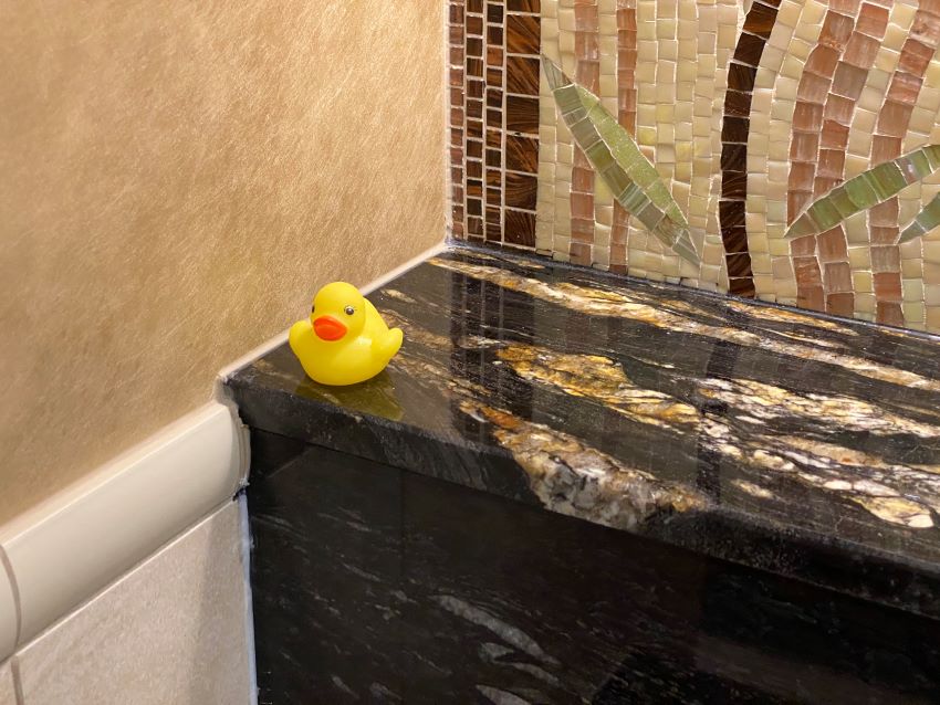 Ducks found in a bathroom on a cruise