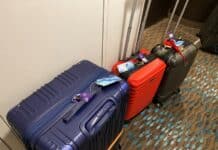 Everything to Know About Seattle’s Port Valet — Free Cruise Luggage Transfer Service