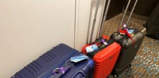 Everything to Know About Seattle’s Port Valet — Free Cruise Luggage Transfer Service