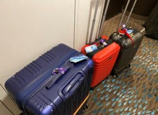 Everything to Know About Seattle’s Port Valet — Free Cruise Luggage Transfer Service