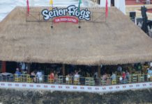10 Cozumel Restaurants & Bars Right at the Cruise Port Senor Frogs in Cozumel