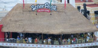 10 Cozumel Restaurants & Bars Right at the Cruise Port Senor Frogs in Cozumel
