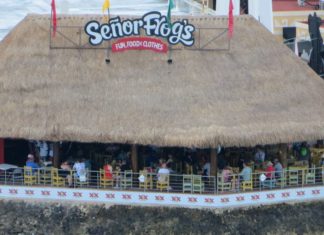 10 Cozumel Restaurants & Bars Right at the Cruise Port Senor Frogs in Cozumel