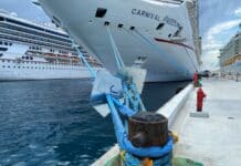 Wild Video Shows Man Attempting to Climb a Cruise Ship Via Ropes