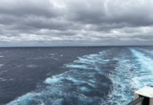 See the Wild Aftermath of a Cruise Ship Hit By High Winds Near New Zealand