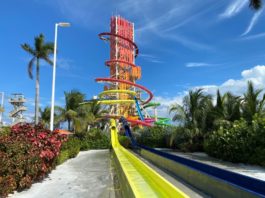 CocoCay: 21+ Tips & Things to Know for Royal Caribbean’s Island (Prices, What to Do, And More) Daredevil's Tower on CocoCay