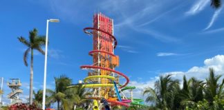 CocoCay: 21+ Tips & Things to Know for Royal Caribbean’s Island (Prices, What to Do, And More) Daredevil's Tower on CocoCay