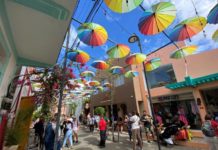 What to Do in Puerto Plata on a Cruise (Big List + Tips & Things to Know)