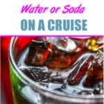 carnival cruise soda carry on policy