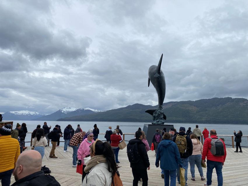 Whale watching point in Icy Strait